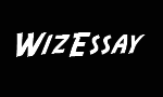 wizessay.com review
