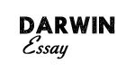 darwinessay.net review